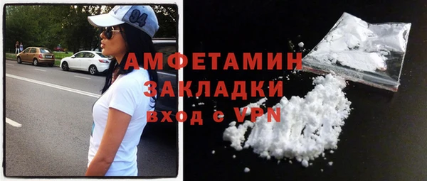 сатива Покачи