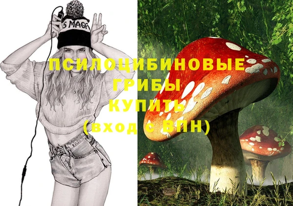 МДПВ Пестово