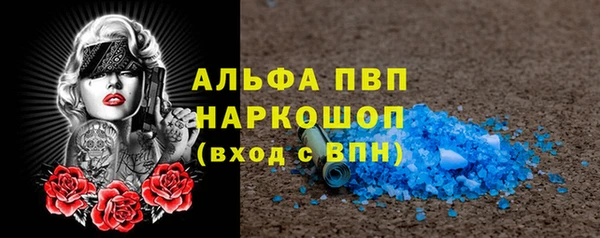 сатива Покачи