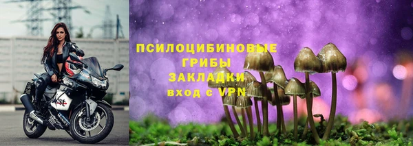 сатива Покачи