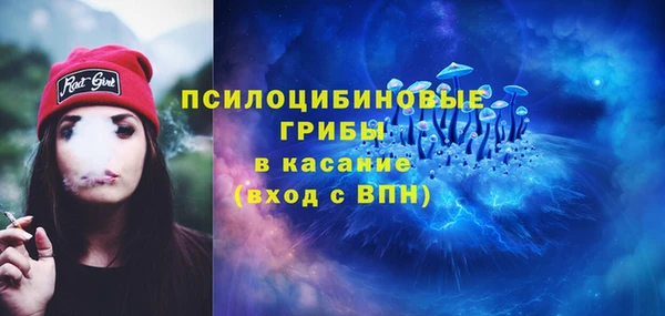сатива Покачи